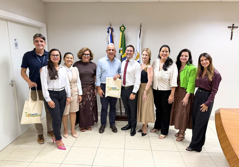 sebrae contadores