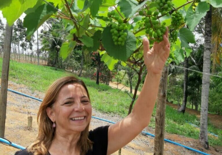 uvas_em_gri-produtores-2021-07-09-6-767x1024-1