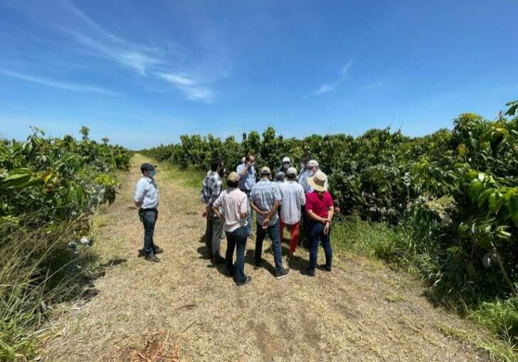 visita_comitiva_usa_manga